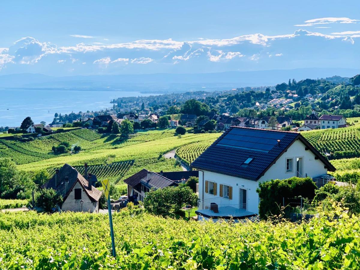 #Lavaux Hotel Lutry Exterior photo