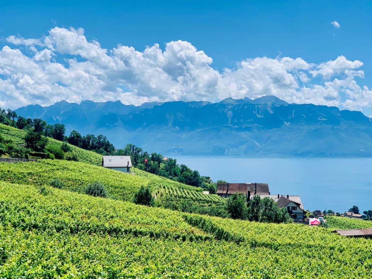 #Lavaux Hotel Lutry Exterior photo