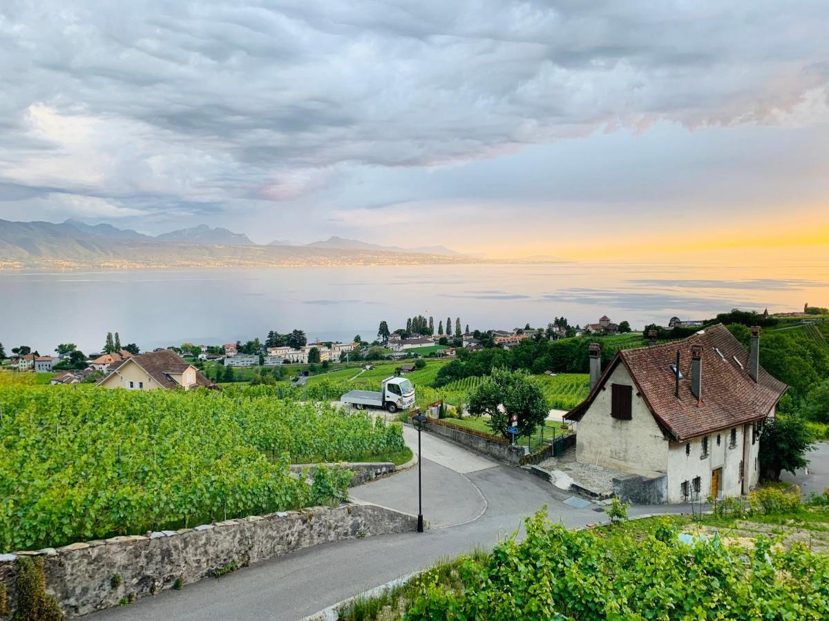 #Lavaux Hotel Lutry Exterior photo