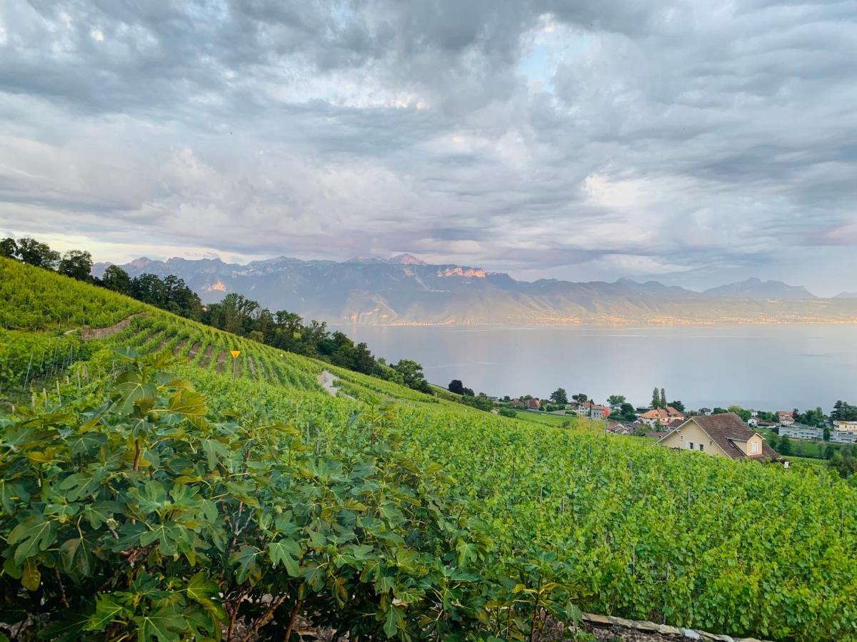 #Lavaux Hotel Lutry Exterior photo