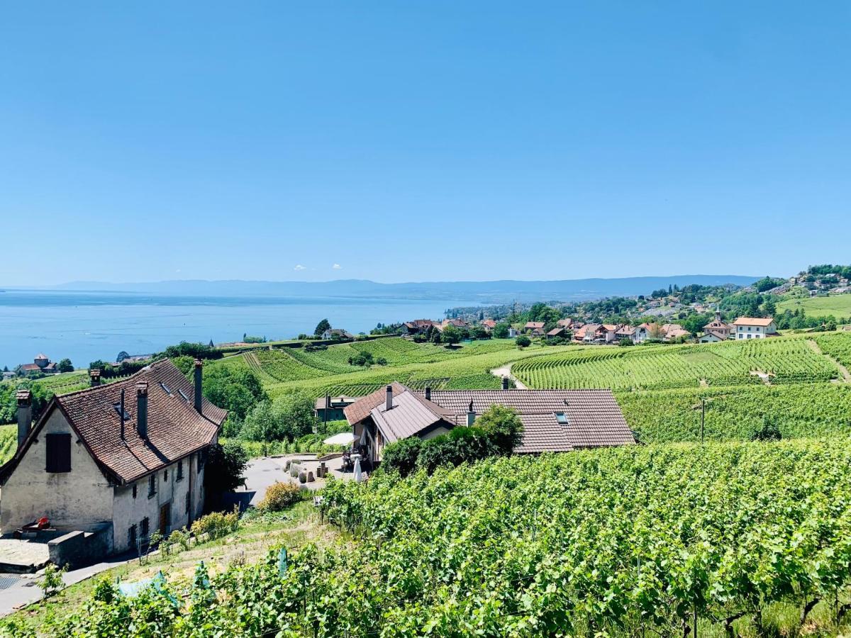 #Lavaux Hotel Lutry Exterior photo