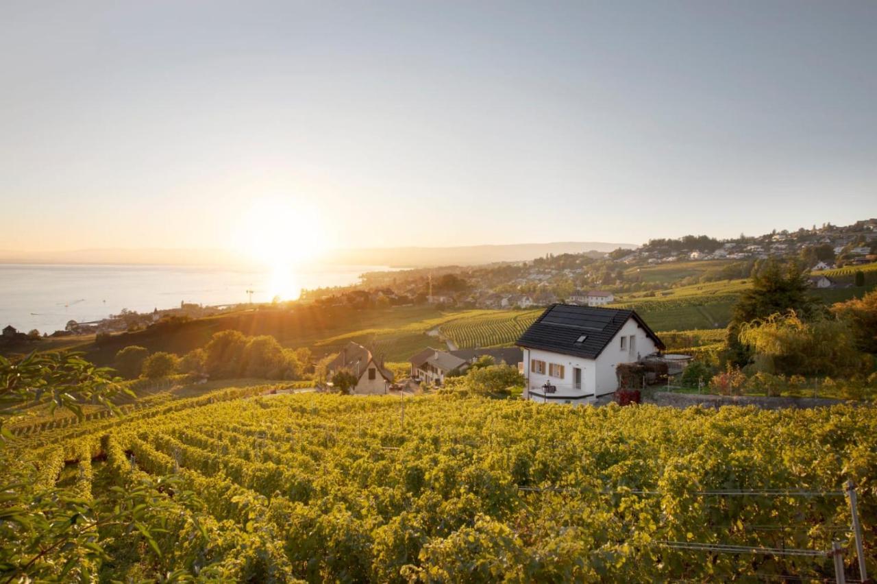 #Lavaux Hotel Lutry Exterior photo